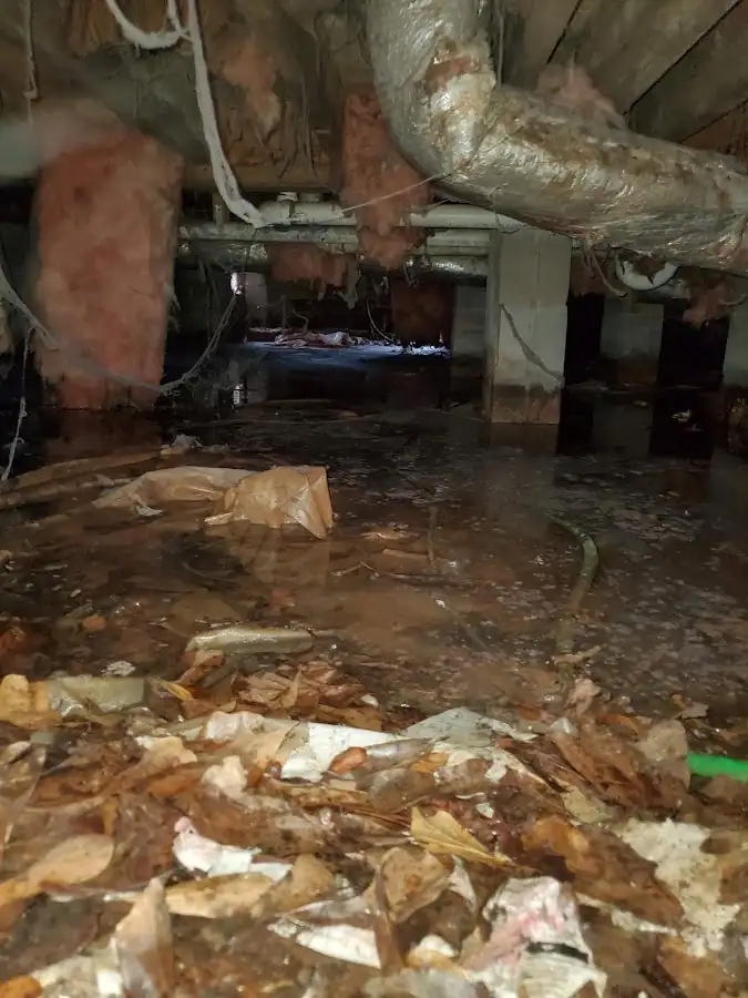 Crawl space flood assessment for Commercial Water Damage Restoration in East Hills