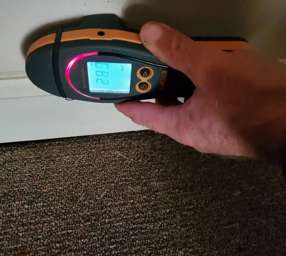 Moisture detection at baseboard during Sewage Cleanup & Sanitation in East Hills